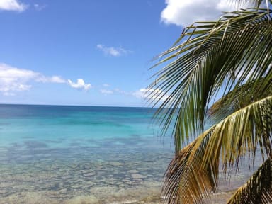 Foto di The Lazy Hostel Vieques