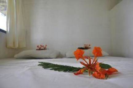 Fotografias de Richmond Vale Diving and Hiking Center
