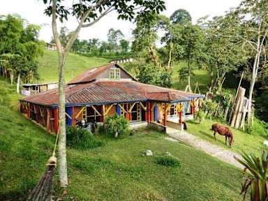 Фотографии Yambolombia Hostel