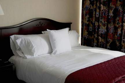 Airport Hotel Mayank Residency tesisinden Fotoğraflar
