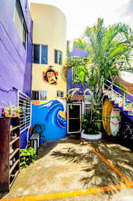 Funky Monkey Hostelの写真