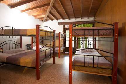 medellin vibes hostel medellin colombia