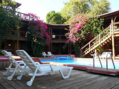 Photos of Utila Dive Centre and Mango Inn