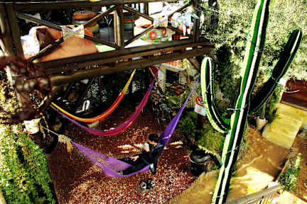 Makuto Backpackers Hostelの写真