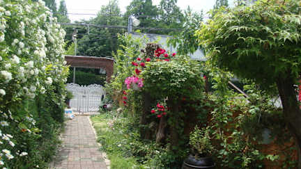Fotky Kim's House in Busan 2nd