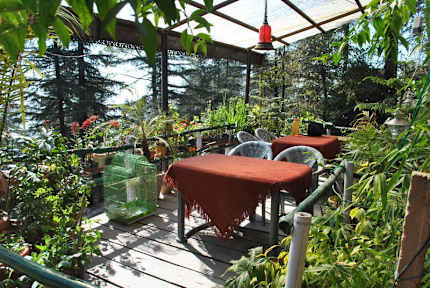 Fotos von McLeodGanj Homestay at The Flourishing Flora