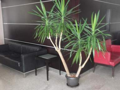 Photos of Hotel Beograd