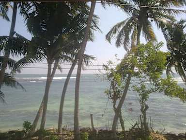 Bilder av TropiTurtle Guesthouse