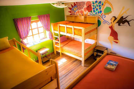 Фотографии Dragonfly Hostels Cusco