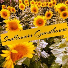 Photos of Sunflowers Guesthouse