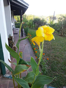 Bilder av Kandy Holiday Home