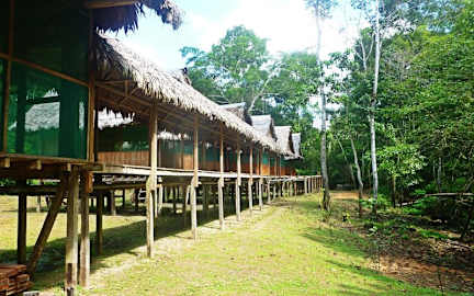 Foto's van Amazon Yanayacu Lodge