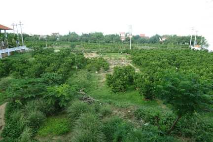 Hoi An VIVA Homestay tesisinden Fotoğraflar