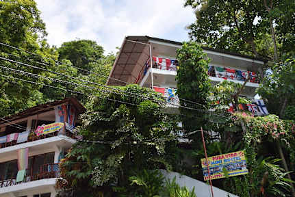 Pura Vida Hostel Manuel Antonio tesisinden Fotoğraflar
