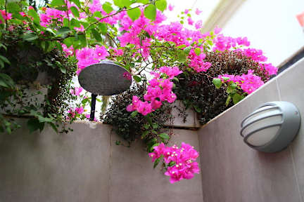 Fotky La Villana Hostel