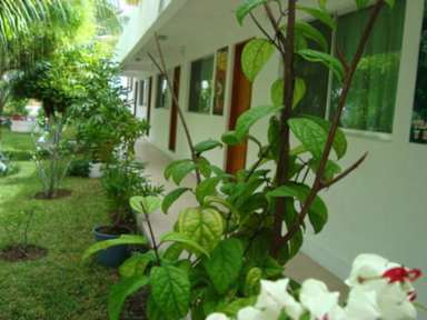 Hotel Villa Escondida Campeche tesisinden Fotoğraflar