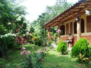 Fotos de Ecolodge Blue Morpho