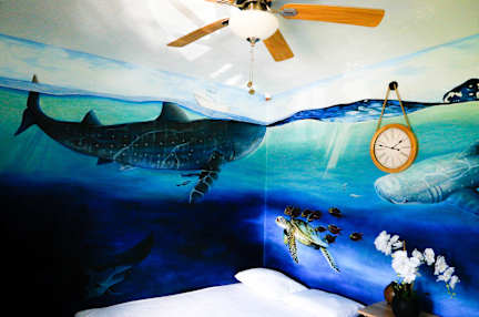 Zdjęcia nagrodzone Hostel Natura Cancún