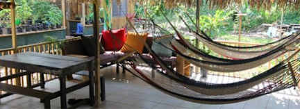 Фотографии Drake Bay Backpackers