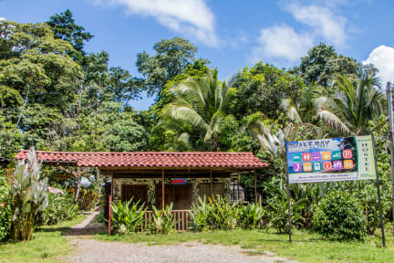 Corcovado Foundation BioHostel tesisinden Fotoğraflar