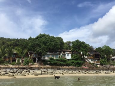 Bilder av Phi Phi Cozy Seafront Resort