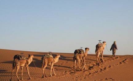 Billeder af Bivouac Karim Sahara