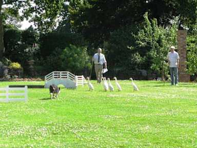 Bilder av Willington Hall Hotel