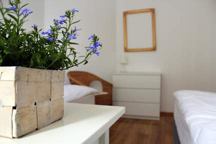 Sisters Lodge Hostelの写真
