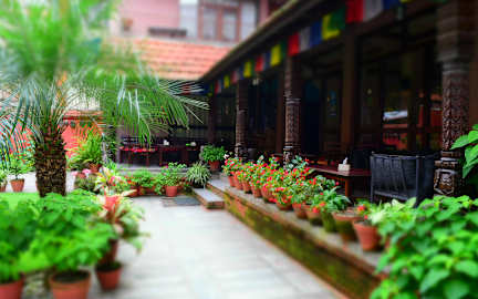 Фотографии Hotel Horizon Kathmandu