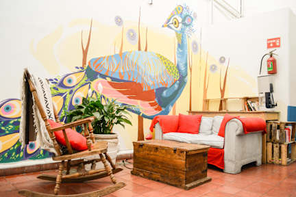 Kuvia paikasta: Hostel Home