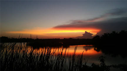 Heina Nature Resort & Yala Safari照片