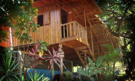 Bilder av Tropical Pasta Surf House and Hostel