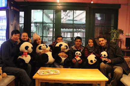 Zdjęcia nagrodzone Chengdu Mrs Panda Hostel