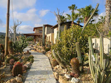 Fotos de Relais Garden Cactus B&B