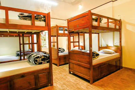 Fotky Wolfpack Hostel Dalat