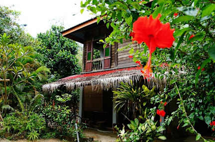 Billeder af Butterfly Guest House