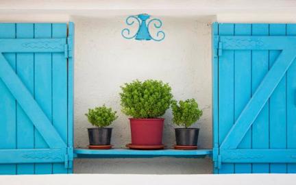 Foton av Marigold Hostel