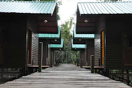 Kinabatangan Sunshine Lodge照片