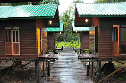 Kinabatangan Sunshine Lodge照片