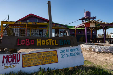 Lobo Hostel Barの写真