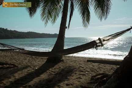Bilder av Poor Man's Paradise