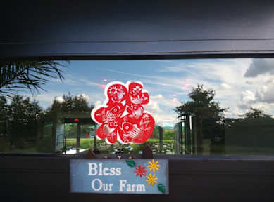 Photos de Auckland Karaka Country Retreat