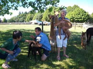 Photos de Auckland Karaka Country Retreat
