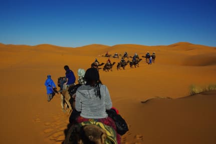 Desert Camel Trekking Camp照片