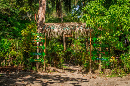 Zdjęcia nagrodzone Palapa Hut Nature Hostel & Campground