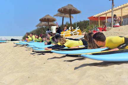 Fotografias de Next Level Surf Camp