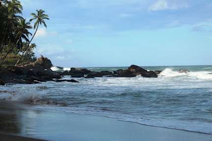 Zdjęcia nagrodzone Palm Paradise Cabanas and Villas Tangalle