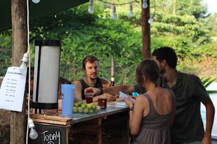 Photos de The Backyard Hostel