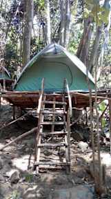 Foton av RainForest Camping Perhentian Island