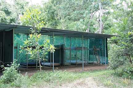 Fotos de Utopia Tica Sustainable Lodge